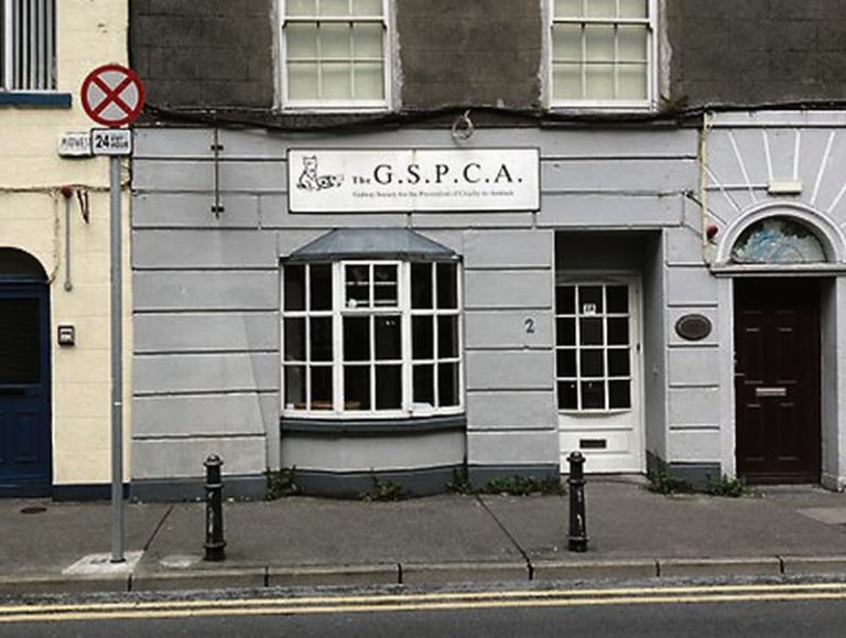 GSPCA closes city centre charity shop permanently
