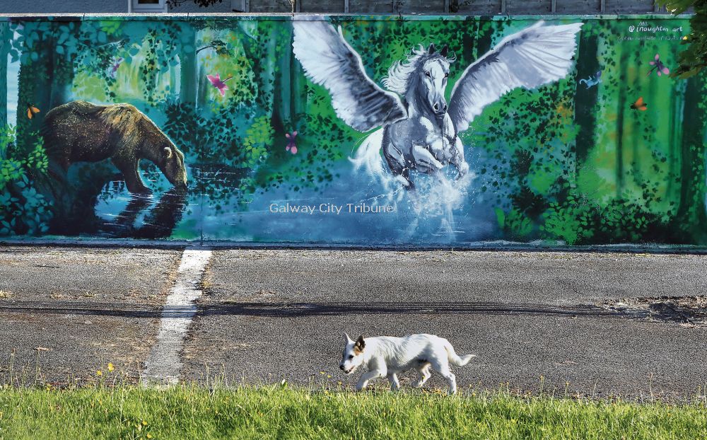 Murals are part of initiative to restore pride in Ballybane estate