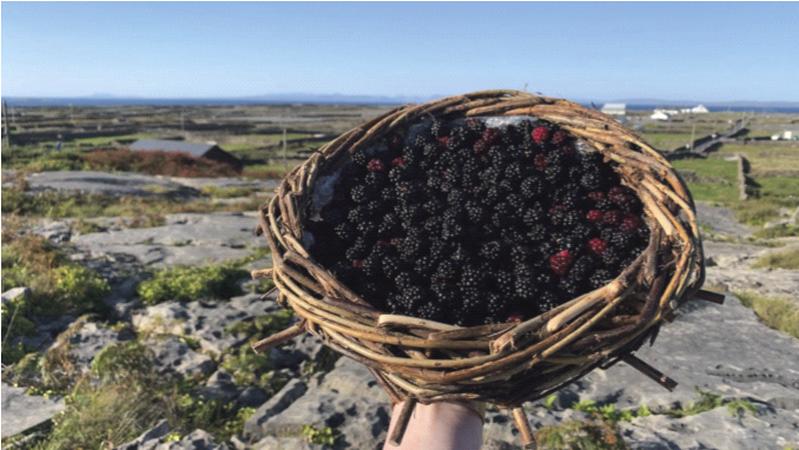 Organiser picked the perfect time for Inis Meáin blackberry festival