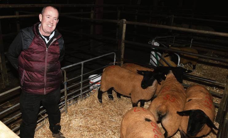 Top Suffolk ewe lamb sold for €2,000 as bidders went all-out at Athenry Mart sale