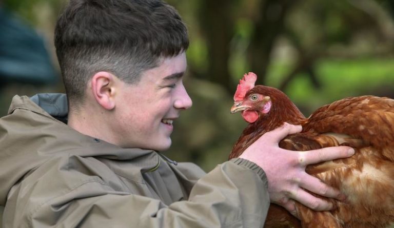 Fledgling entrepreneur hatches business plan with chickens!