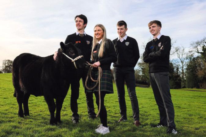 Holy Rosary College students secure national win at Certified Irish Angus Schools’ Competition