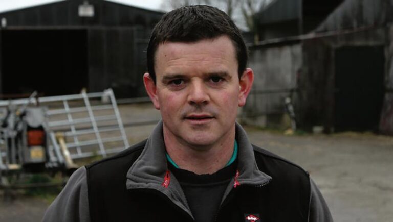 Galway tops suckler cow applications’ league table