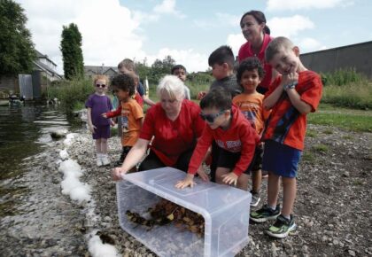 Pre-school pupils enjoy morning surprise as ducklings turn up on the doorstep