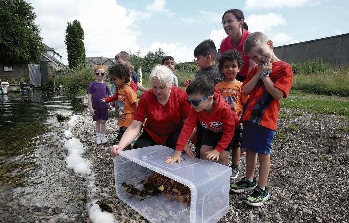 Pre-school pupils enjoy morning surprise as ducklings turn up on the doorstep