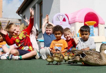 Pre-school pupils’ surprise as ducklings turn up on the doorstep