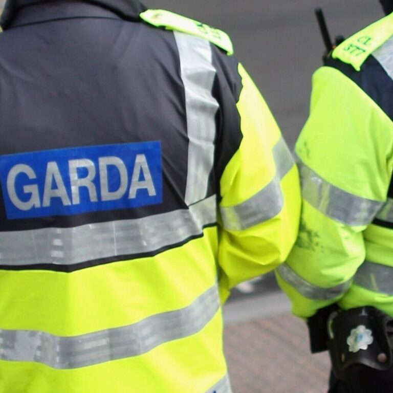 Garda blitz leads to cross-border arrests