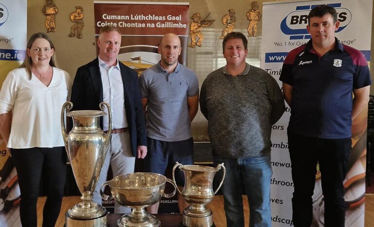 Lots of wriggle room for clubs in new-look hurling title races