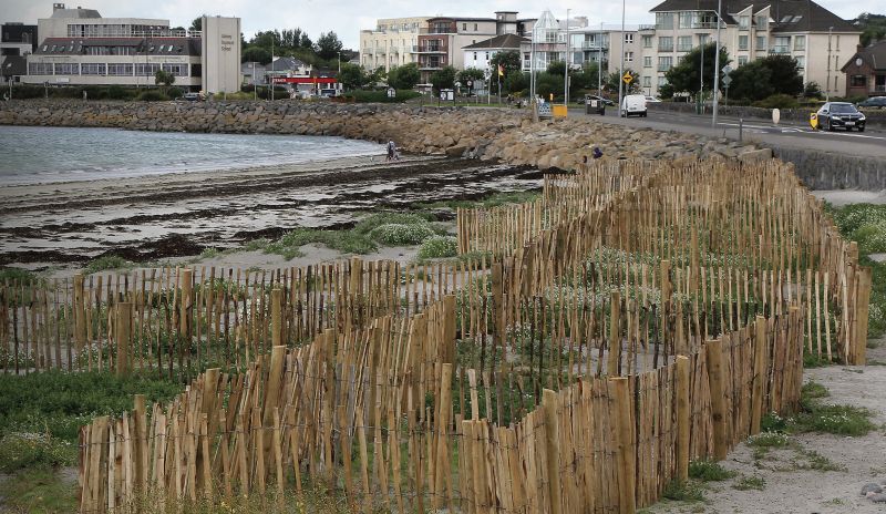Salthill sand dune project could help protect against climate change