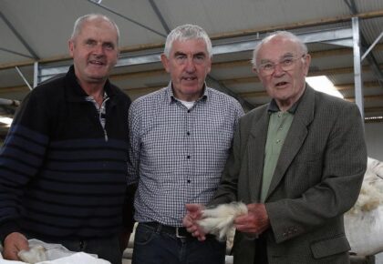 A huge turnout for Galway Wool sale and art exhibition