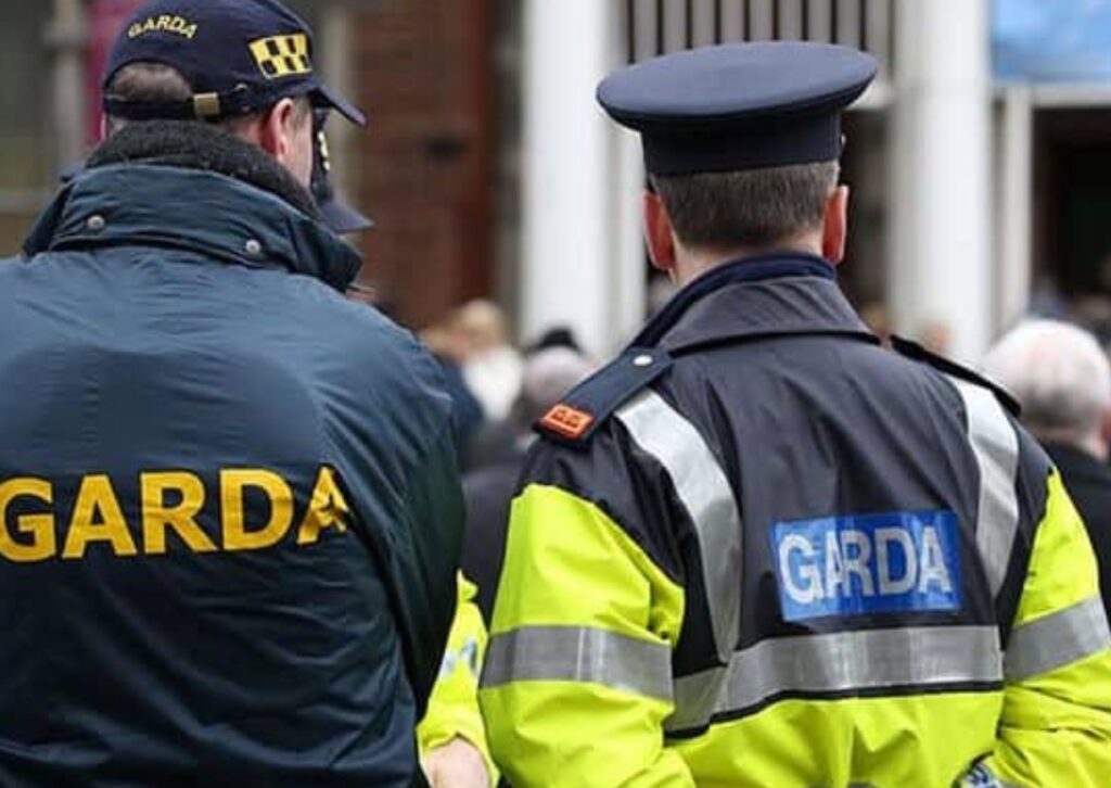 Gardaí make progress on sex assault on false imprisonment case