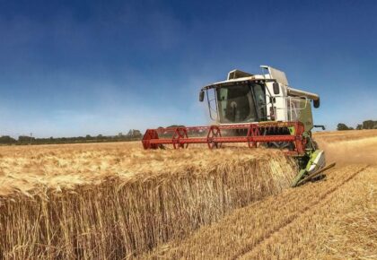 Grain farmers hoping for a drier autumn