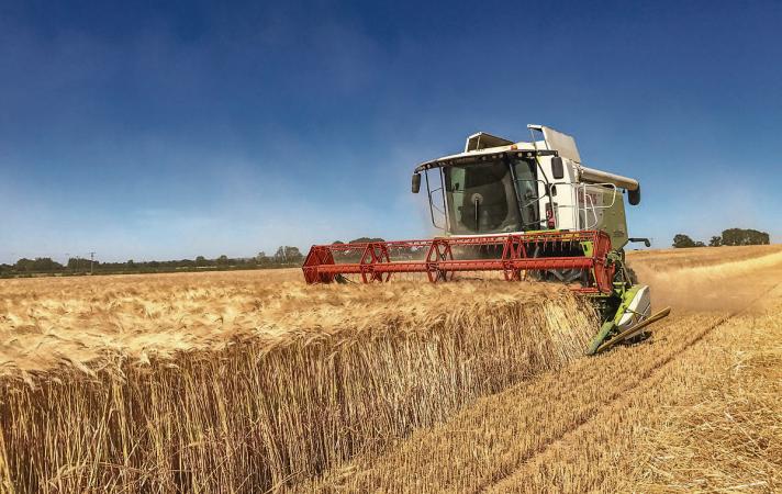 Grain farmers hoping for a drier autumn