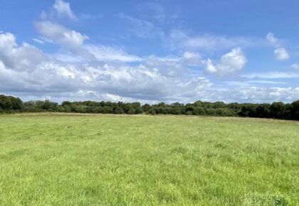 Land with excellent road frontage for sale at Attyshonock, Bushypark, Galway