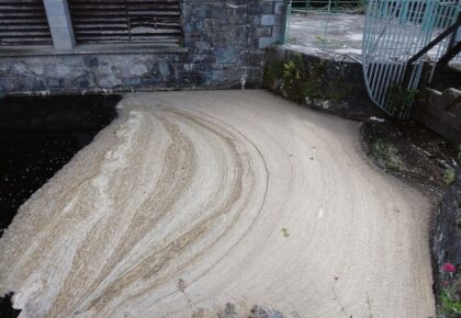 Cold water poured on Galway canal ‘foam’ concerns