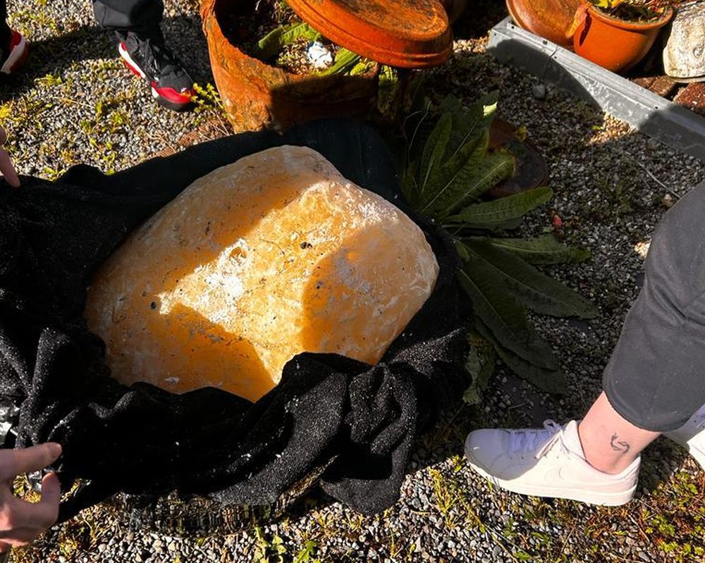 Warning to pet owners after ‘fatberg’ washes up at Silverstrand