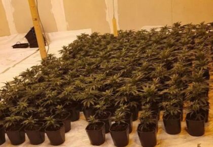 Growhouse worker was victim of human trafficking