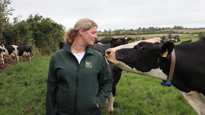 Dairy farmers are committed to reducing environmental impact of emissions