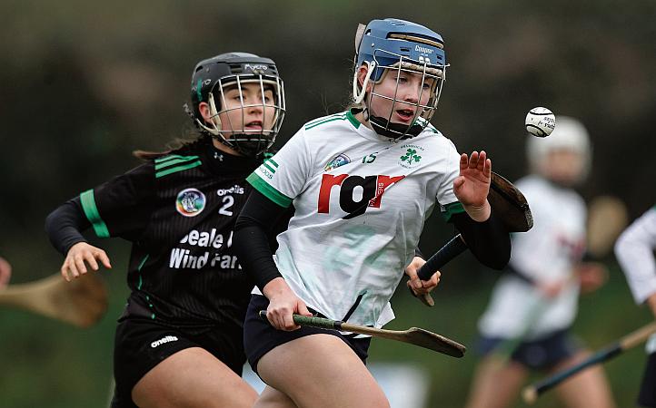 Brave Shamrocks bow out to more experienced rivals