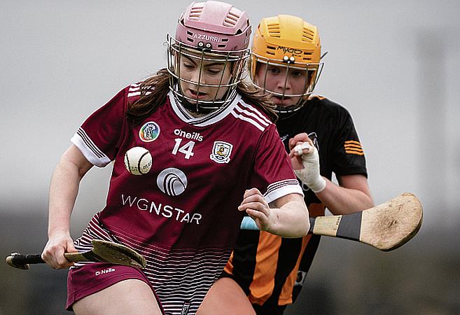 Dolan’s charges lay foundation for league victory over Cats in the first-half
