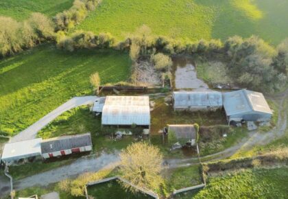 52 acre farm near Portumna for public auction
