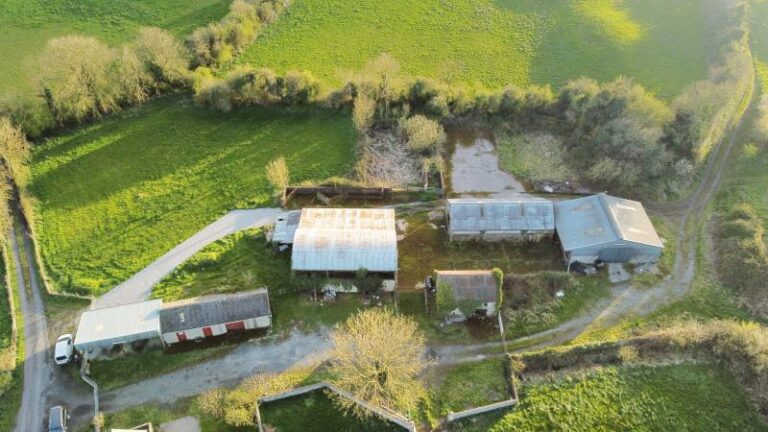 52 acre farm near Portumna for public auction