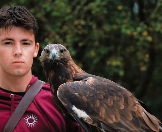 Judge orders Conamara bird enthusiast to give up his rare golden eagle