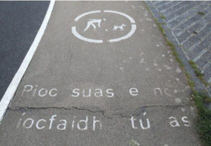 Galway dog fouling continues as ‘successful’ campaign is dormant