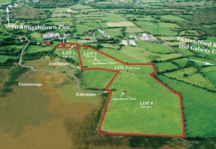 Prime farmland offers a unique opportunity