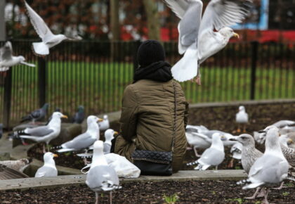 Two women need hospital treatment after being bitten by seagulls in separate incidents