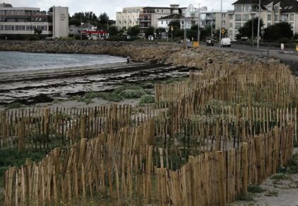 ‘Do not swim’ notices posted at two city beaches following weekend downpours