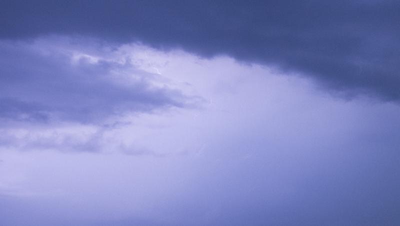 Lightning strikes livestock in storm