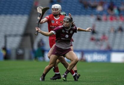 Gallant Galway done no favours by referee in a cracking decider