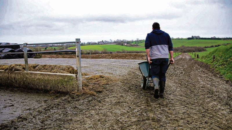 New research puts a price on the unpaid hours worked on most Irish farms