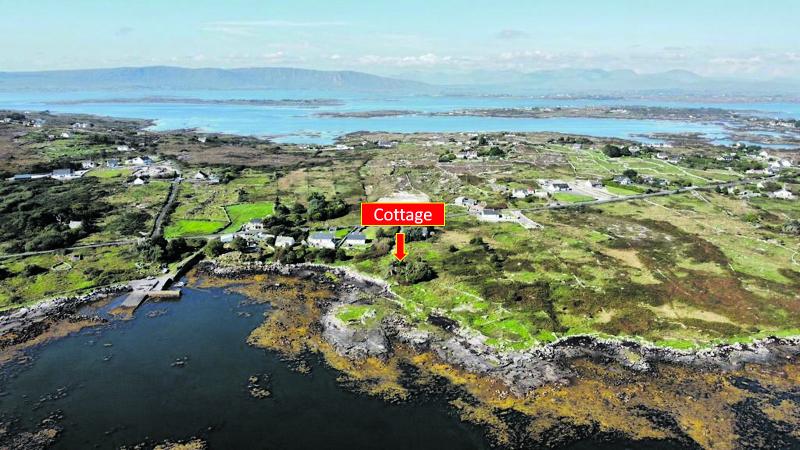 End-of-year online auction offers buyers choice of prime properties