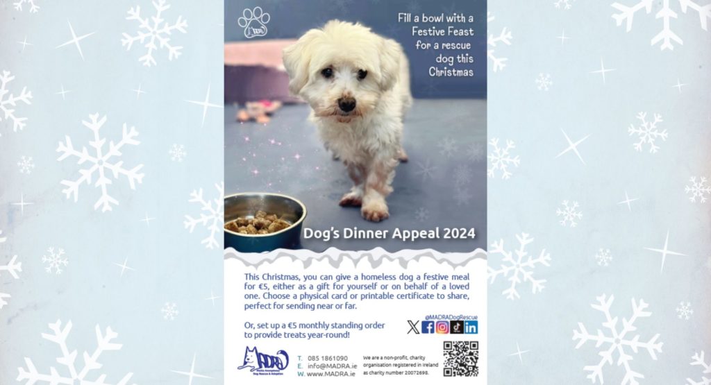 MADRA invites donations for annual Dog's Dinner Appeal