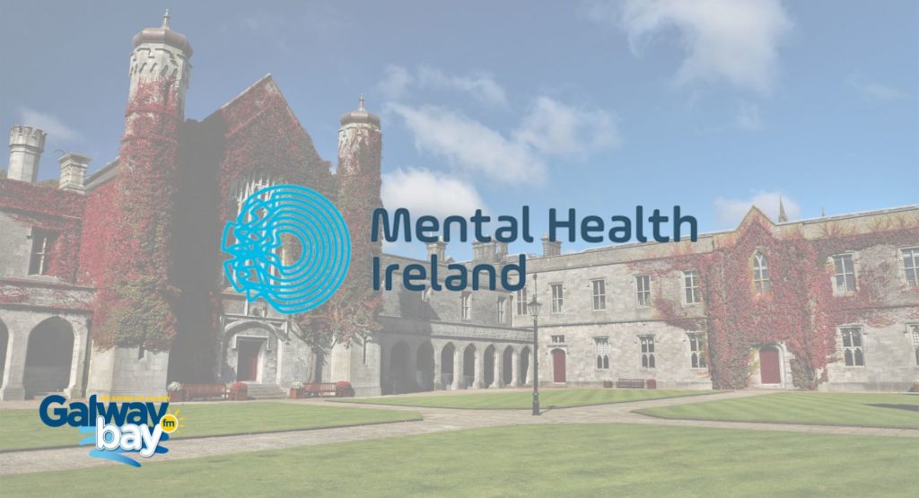 Mental Health Ireland to host hustings for Galway General Election candidates