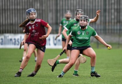 Minor title triumph seals a fine season for Sarsfields