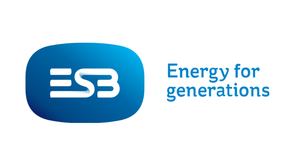 Storm Darragh update: ESB Networks teams restoring electricity supply ...