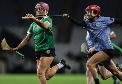 Sarsfields are back on top after superb final showing