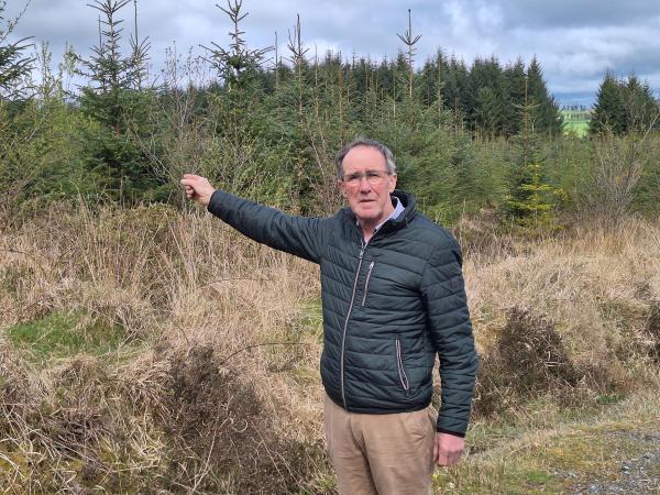 €24 million in forestry payout but change is called for