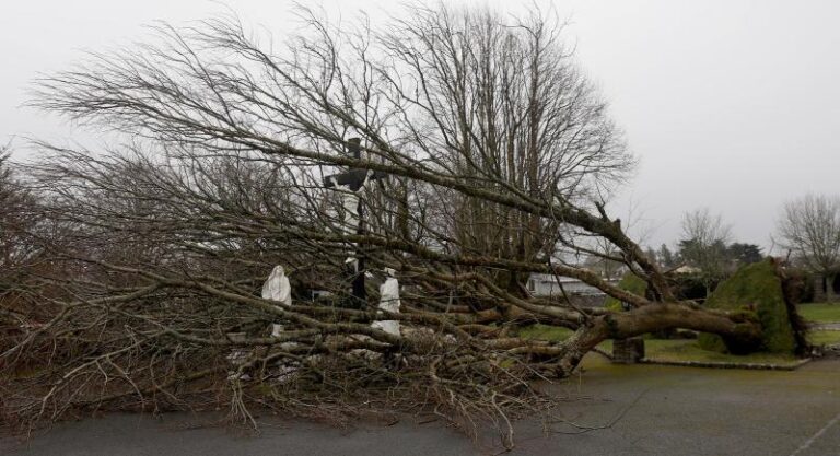 Galway gets back on its feet after widespread destruction