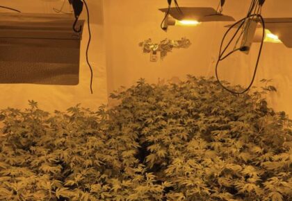 Garda searches yield drugs and illegal weapons
