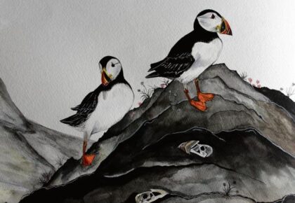 Inis Oírr in the spotlight in Róisín’s exhibition Island Life
