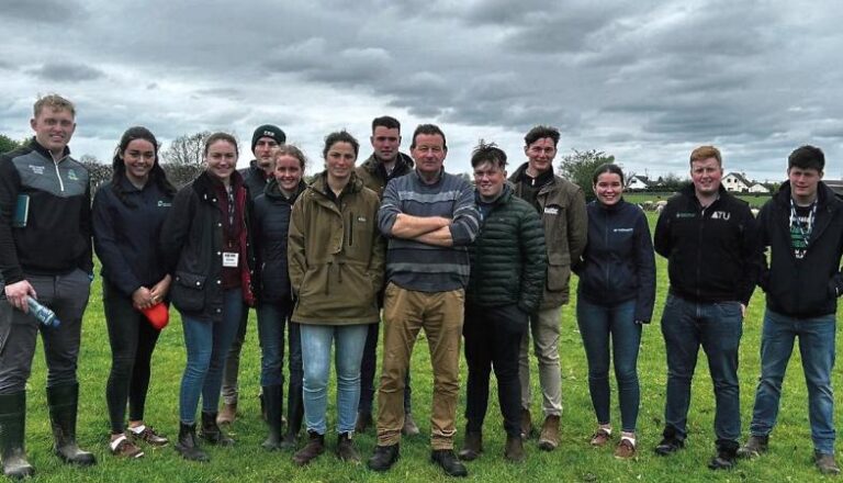 Galway duo to take part in new Young Sheep Farmer Forum