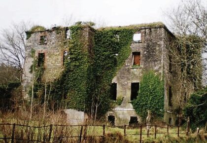Dalystown Demense set for major reconstruction after years of falling into disrepair