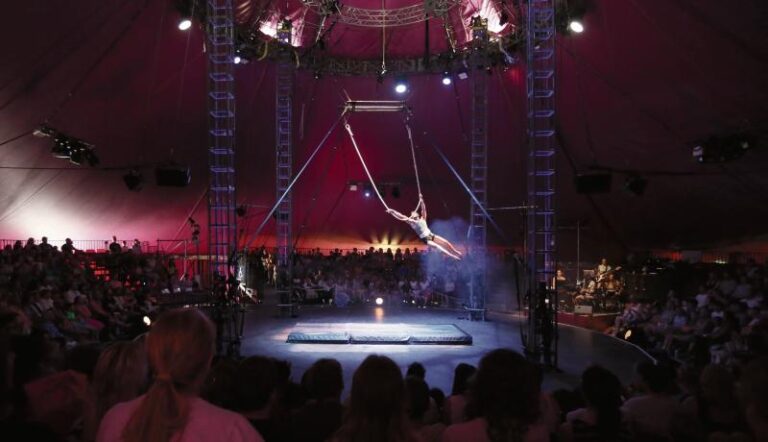 City Council makes more than it gives to Arts Festival