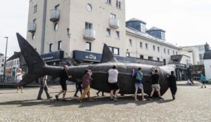 Basking shark sculpture unveiled in city ahead of international conference