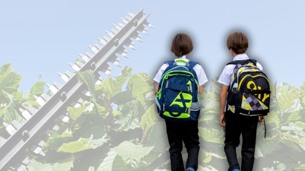 Calls for hedge cutting near schools to be prioritised as new academic year approaches