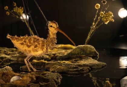 Baboró brings riches and magic of arts to children